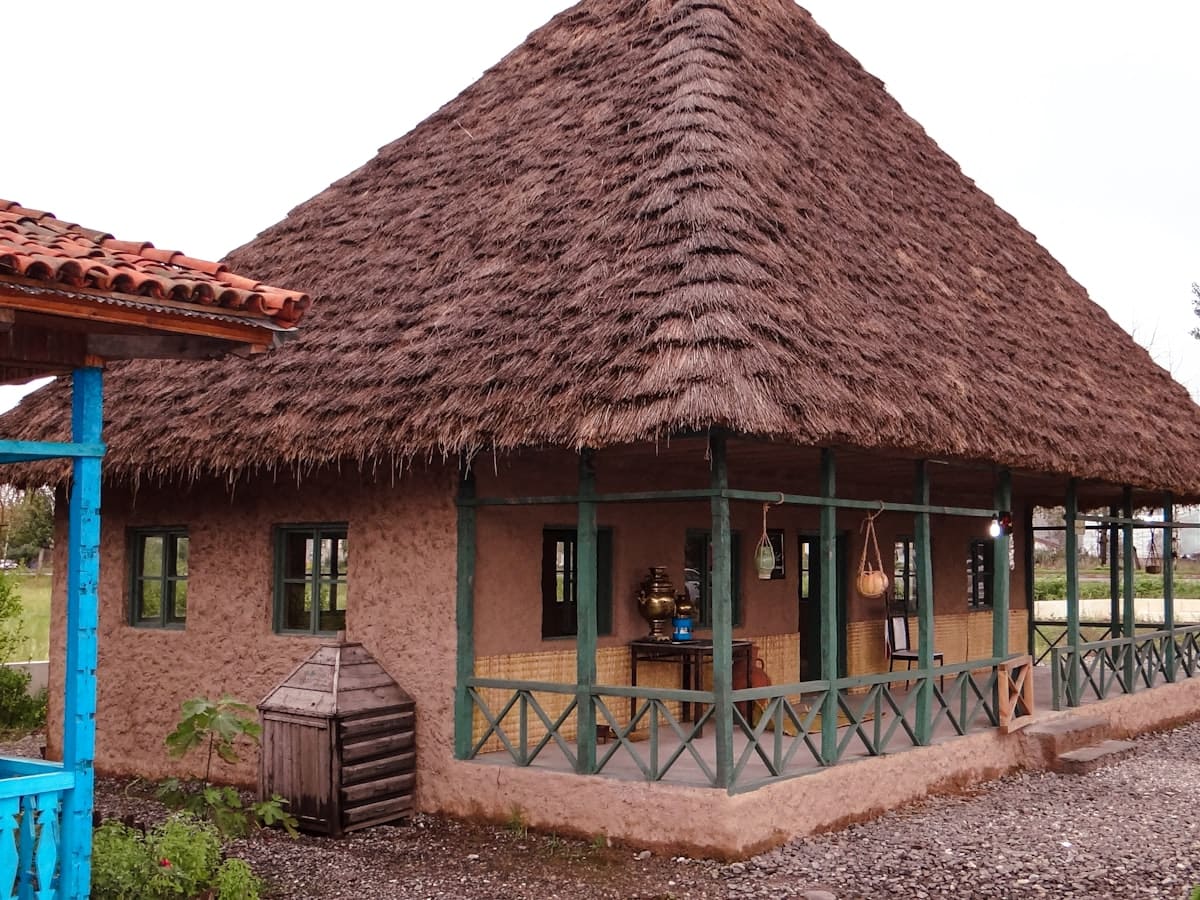 Cottage with thatched roof and shaded porch in a tropical setting