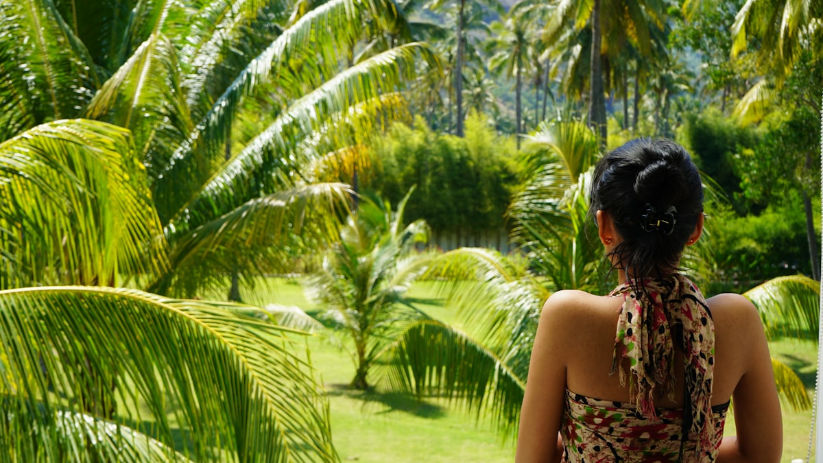 Looking out at lush tropical forest from a retreat window