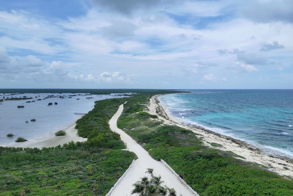 Path leading through tropical vegetation towards the beach