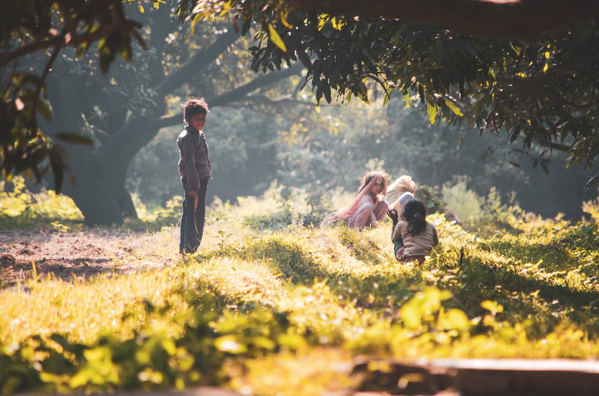Child exploring a forest environment