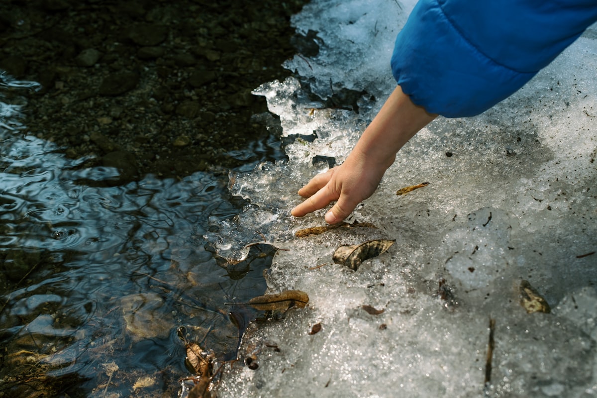 Child's hands exploring natural elements near a stream