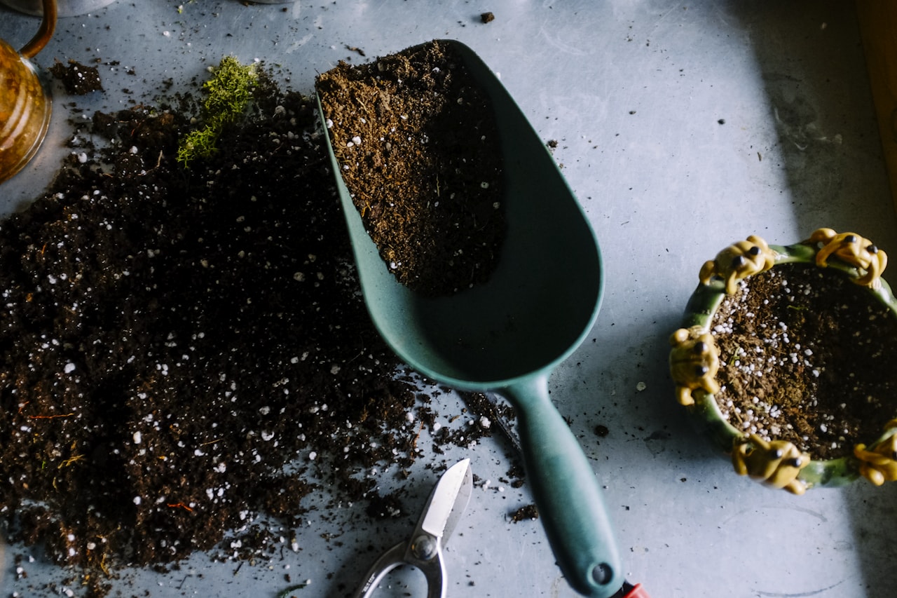 Students tending a school garden as part of nature-based education on the Oaxaca coast