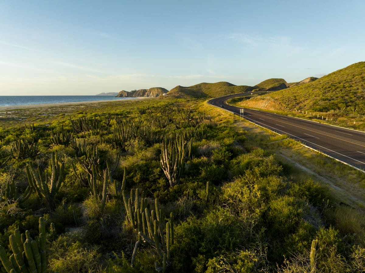 Road winding through a green grassy landscape