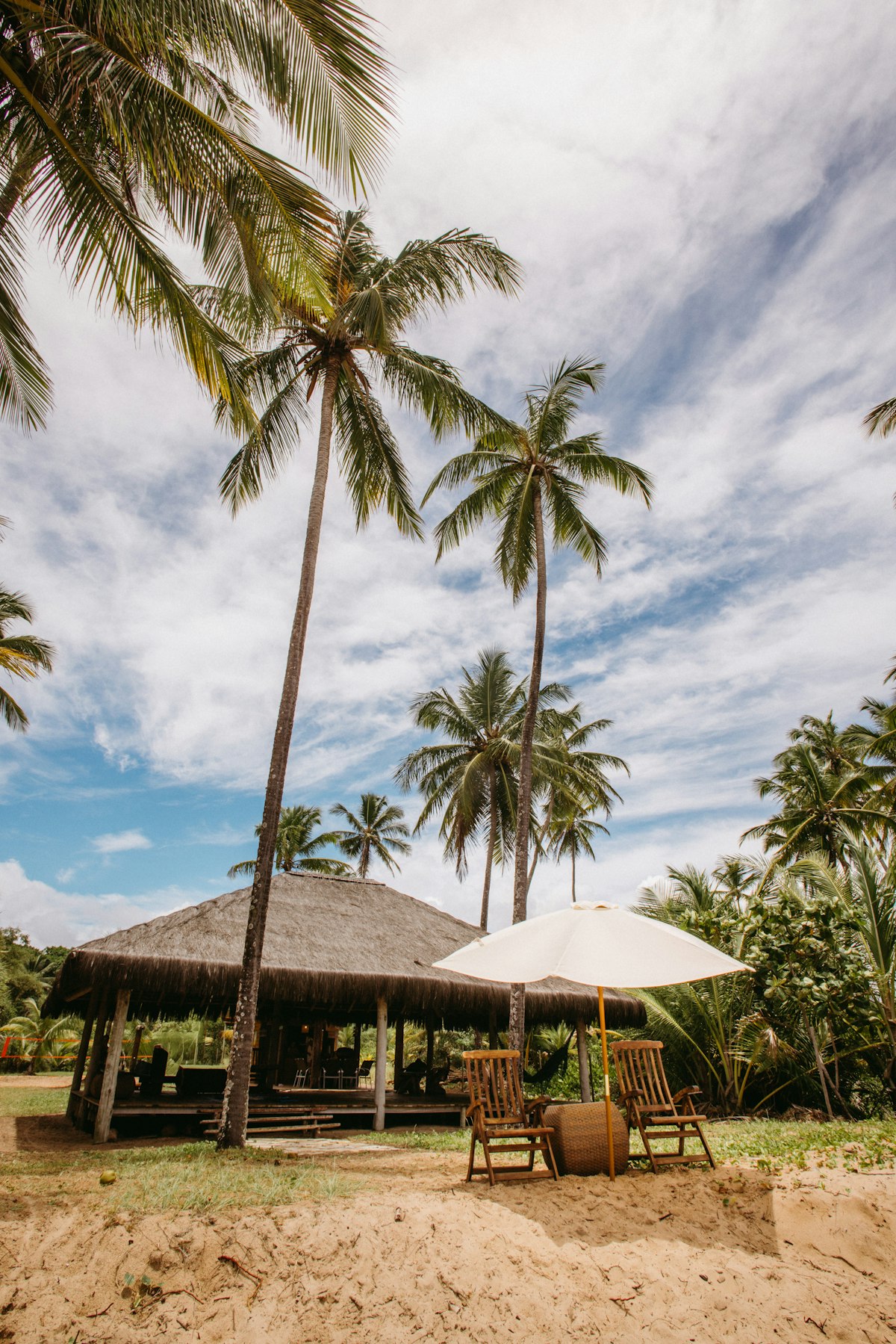 Tropical beach with palm trees and lounge chairs