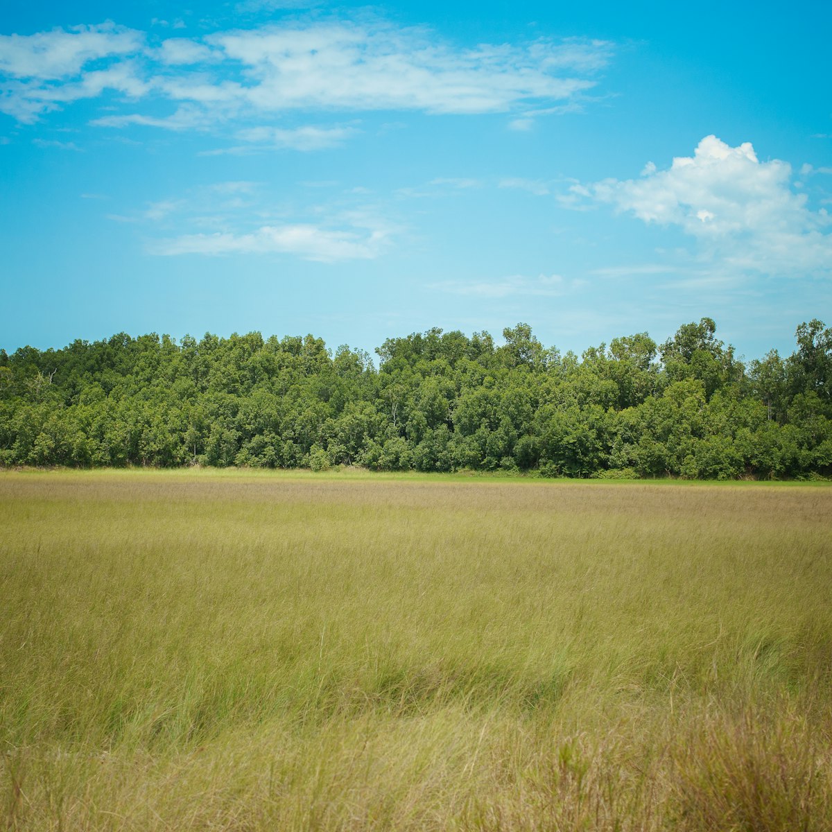 Why we kept 70% of the land open