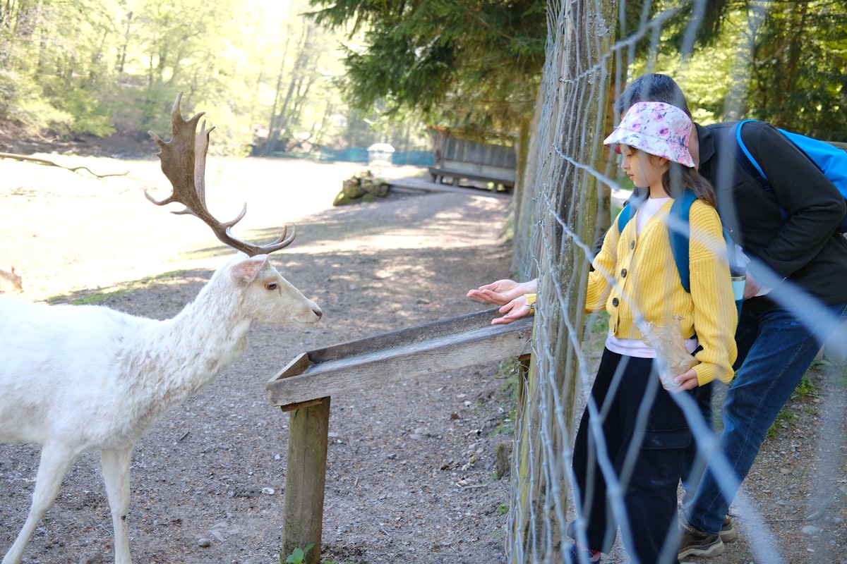 Girl interacting with nature at a fence in a natural setting