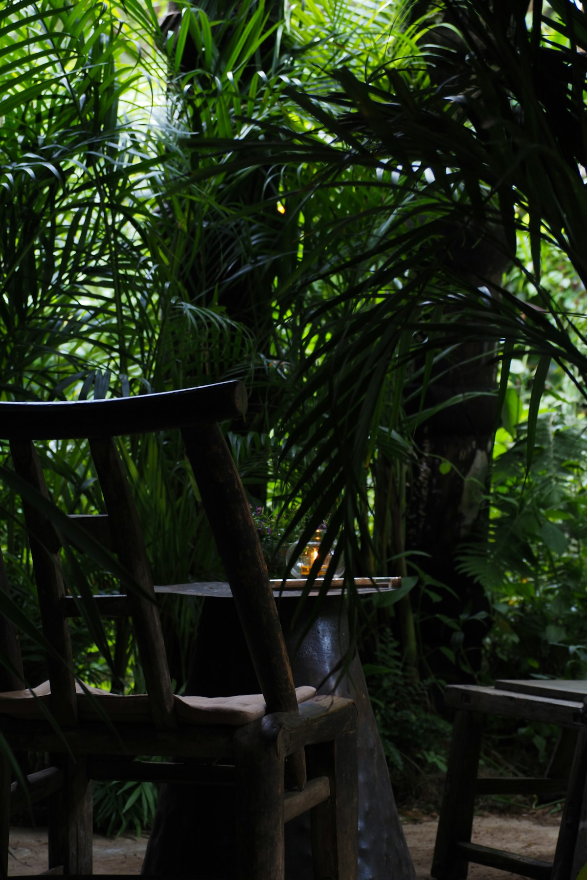 Wooden chairs and table set in a lush green jungle setting