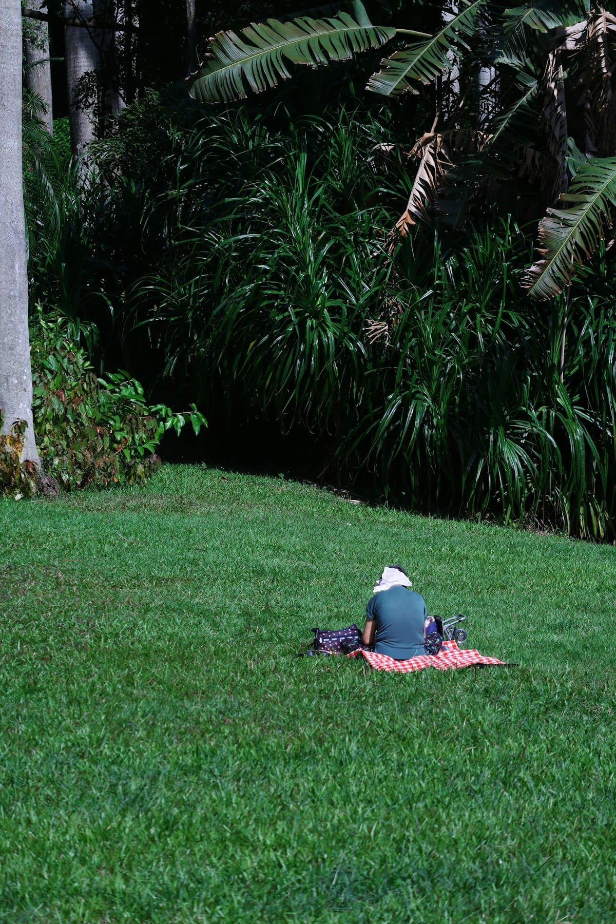 Person sitting on a blanket in a grassy park meditating