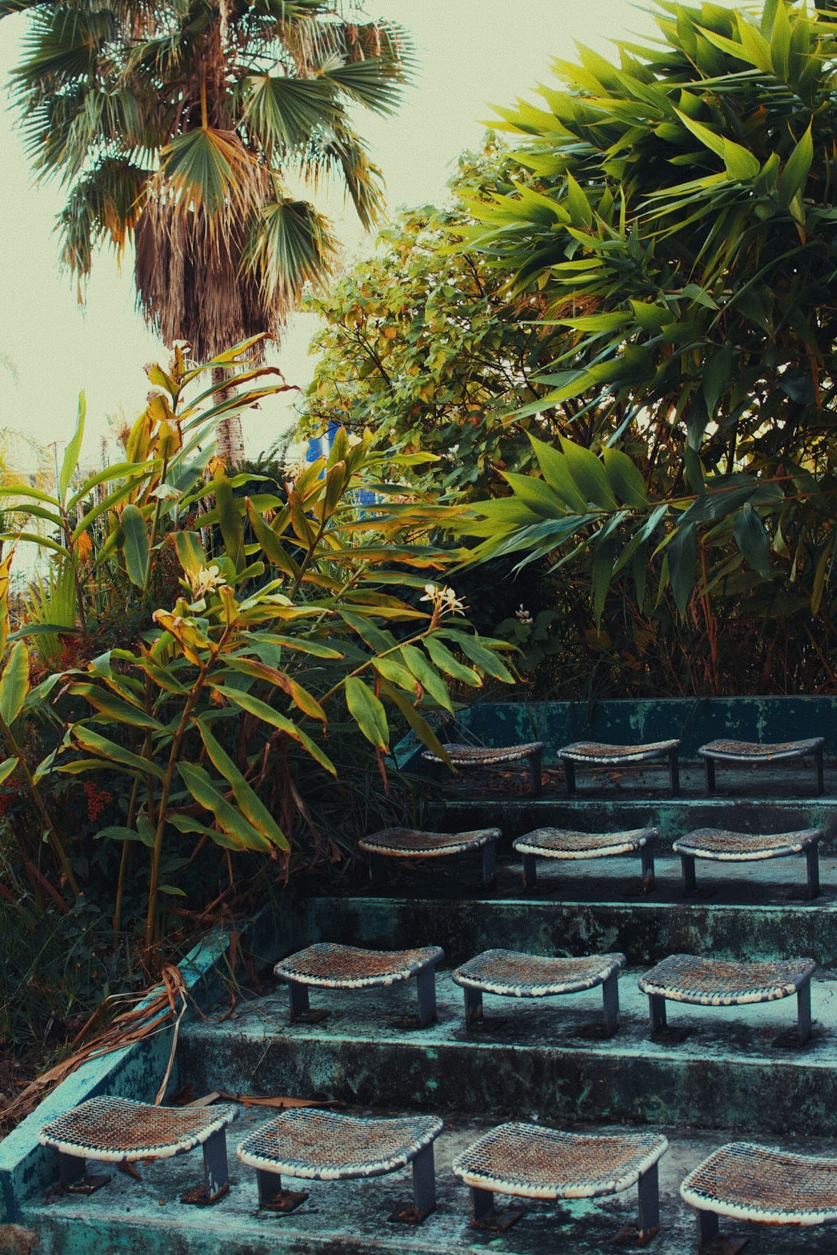 Outdoor seating area surrounded by lush tropical plants